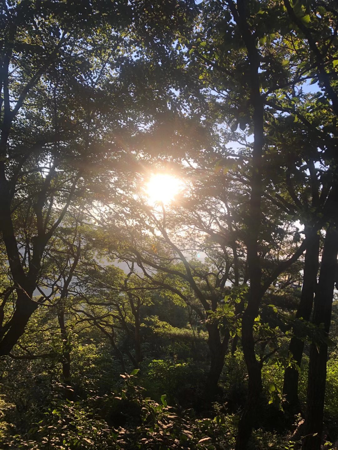 老君山