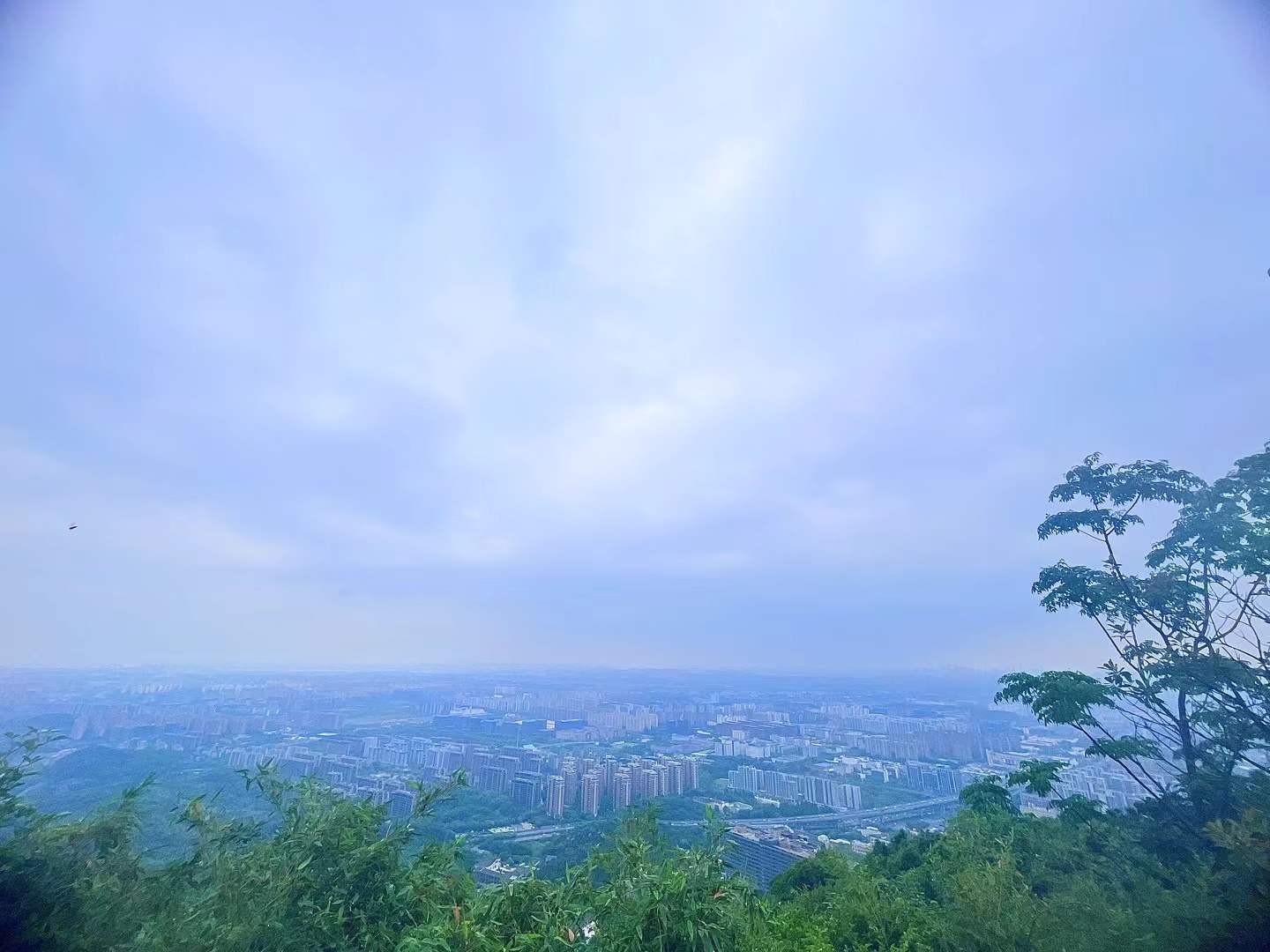 半山