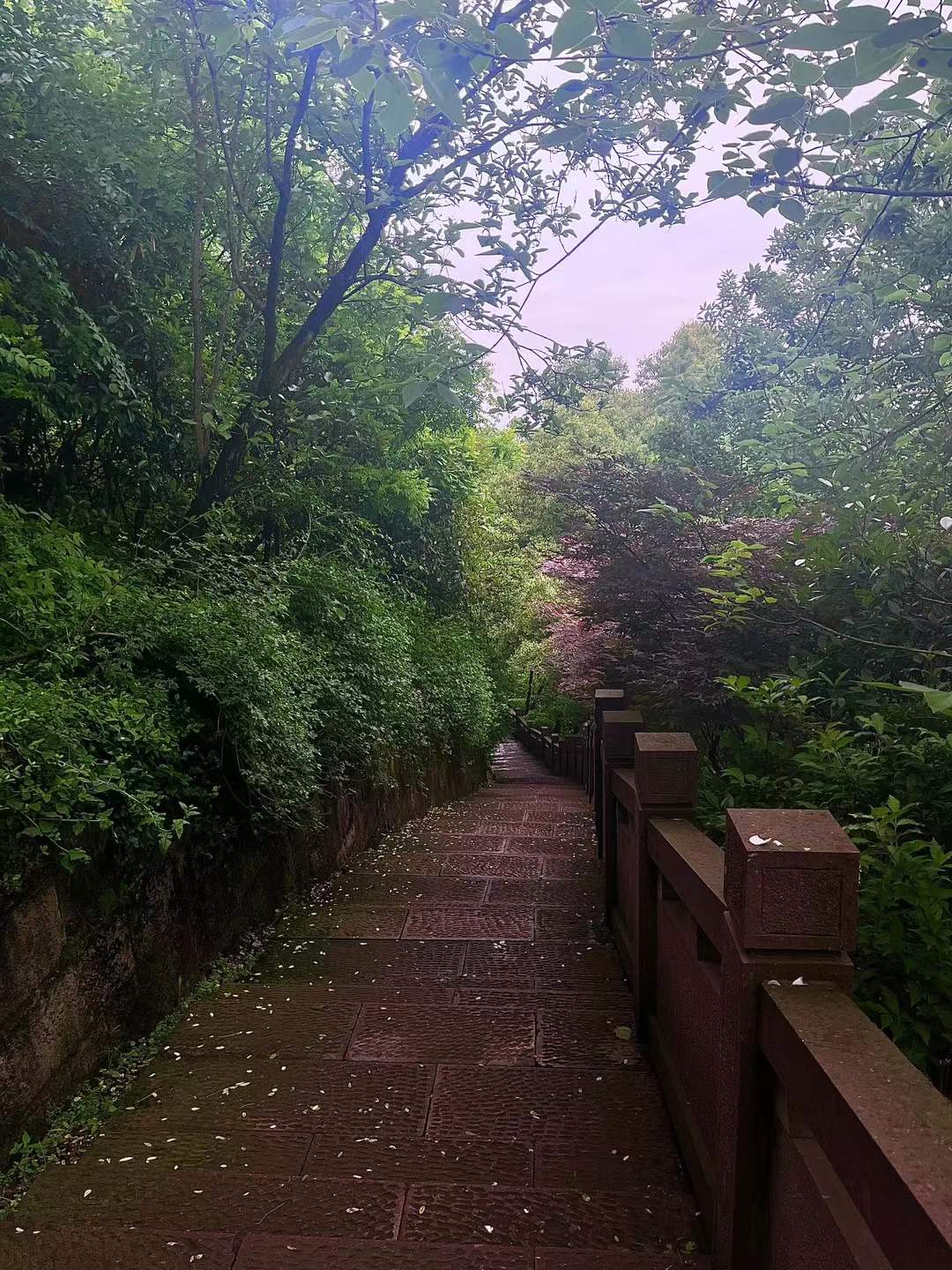 半山