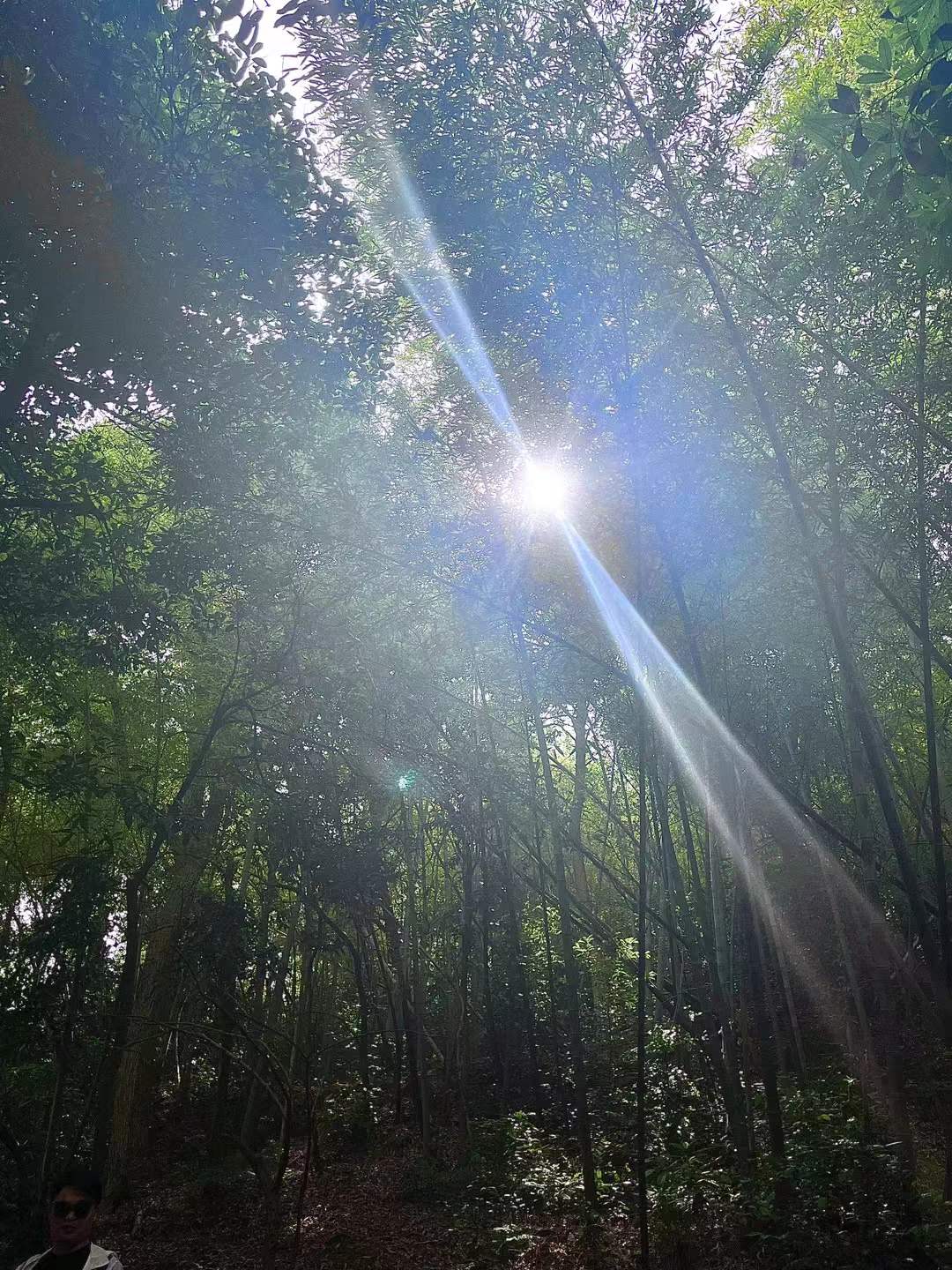 十里琅珰